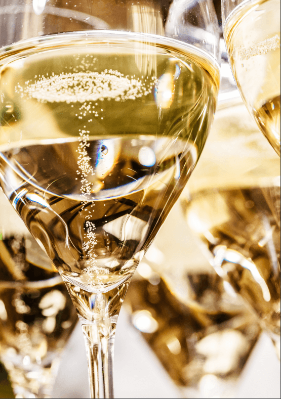 Selezione di vini Tulip